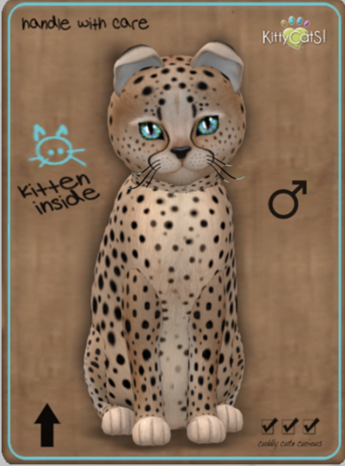 KittyCatS Box - Cheetah! - Au Natural Male