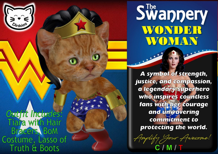 Dinkie Kitty - Wonder Woman