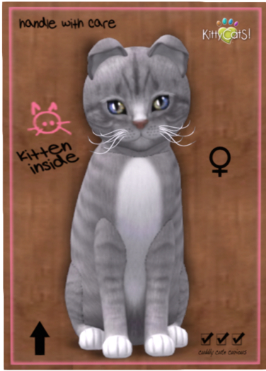 KittyCatS Box - European Shorthair - London Fog