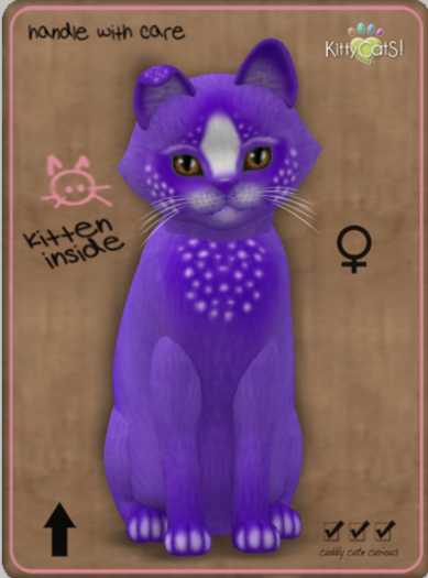 KittyCatS Box - Confetti - PlumBerry Female