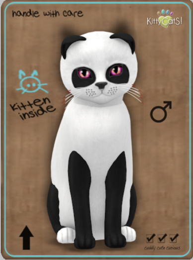 KittyCatS Box - Pandie - Ebony & Ivory Male