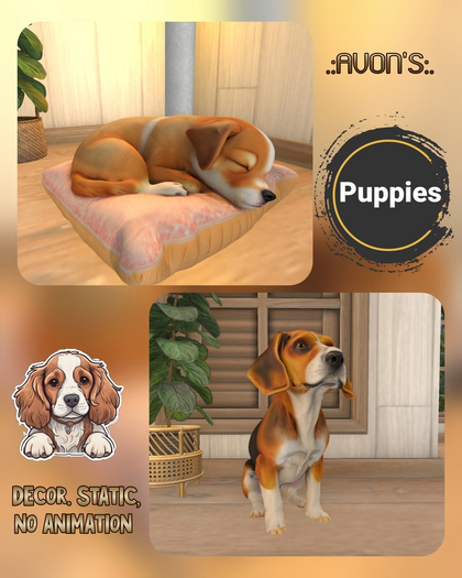.:AVON'S:. Puppies