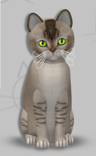 KittyCatS Box - Eliana