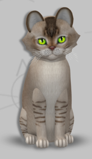 KittyCatS Box - Maeve