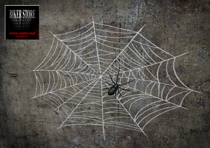 #Spider Web with agile Spider