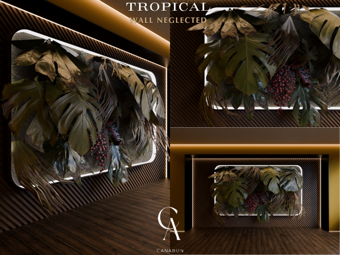 Tropical Wall Neglected - CANARUN - (Rezzme)