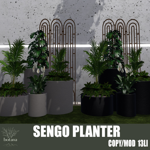 [B] Botana - Sengo Planter