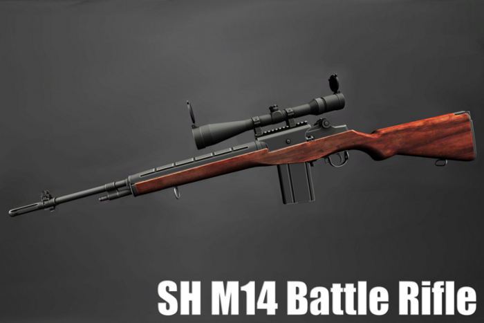 SH M14 Battle Rifle rev2 (Female Version)