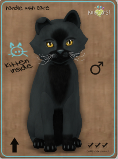 KittyCatS Box - Faux Puff - Perfect Storm Male