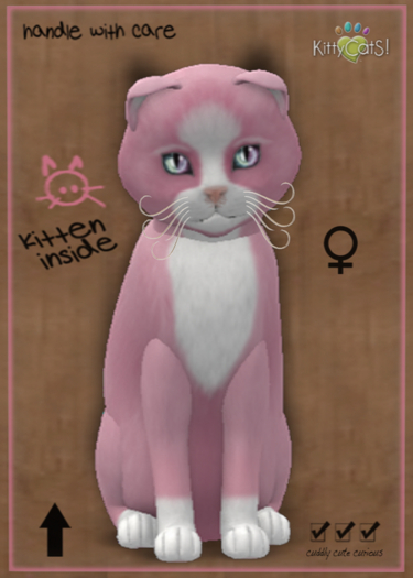 KittyCatS Box - Chateau Cat - Pink & White No. 1 9T (female)