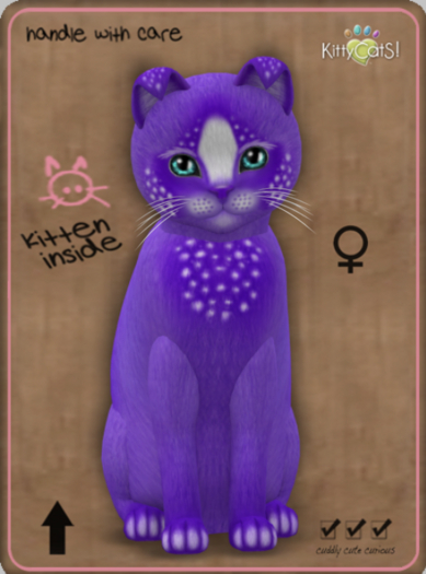 KittyCatS Box - Confetti - PlumBerry Female