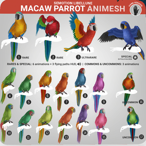 SEmotion Libellune Macaw Parrot Animesh ULTRARARE 03