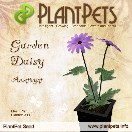 PlantPet Seed [Garden Daisy *Amethyst*]