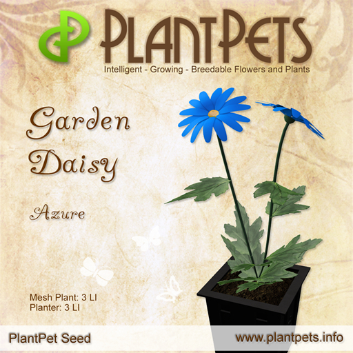 PlantPet Seed [Garden Daisy *Azure*]