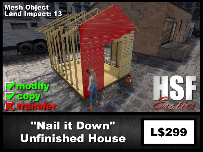 "Nail it Down" Unfinished House