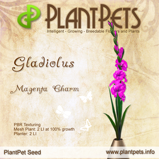 PlantPet Seed [Gladiolus *Magenta Charm*]
