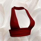 Red Summer Top Waifu