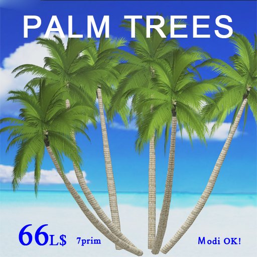Palm Trees