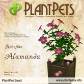 PlantPet Seed [Alamanda *Rebetiko*] *Common*