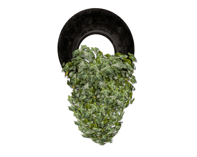Tire Planter IVY