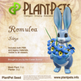PlantPet Seed [Romulea *Skye*] RARE ELITE