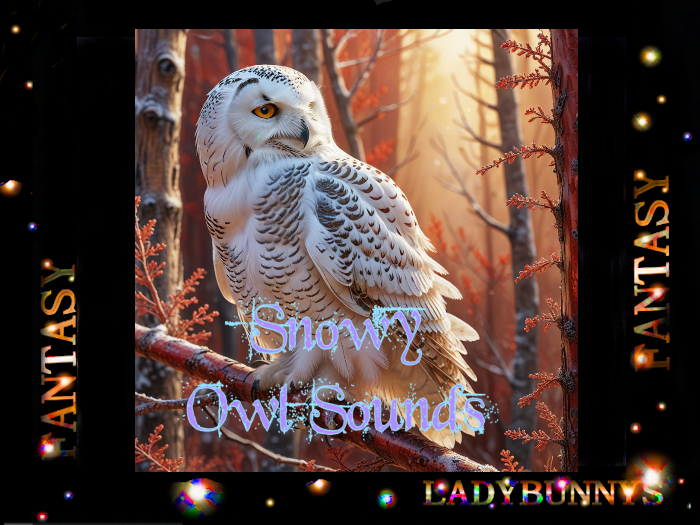 Bunny's Sounds-Snowy Owl-Snow Owl fullperm sounds