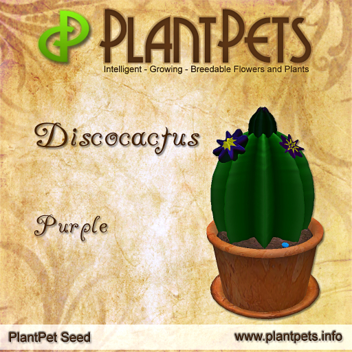 PlantPet Seed [Discocactus *Purple*]