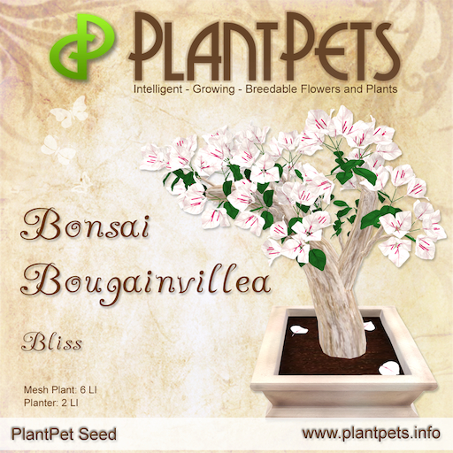 PlantPet Seed [Bonsai Bougainvillea *Bliss*] Common