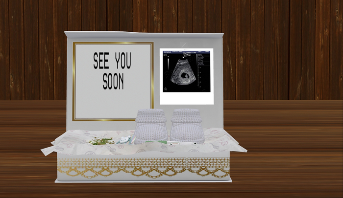 MICASADELARBOL PREGNANCY ANNOUNCEMENT PACK 4