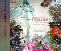 16 RARE !dM Colibri **PEACOCK** (BOX LARA) - SALE !