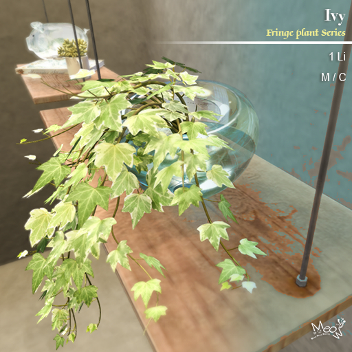 MMM-Fringe Plant-Ivy(add)