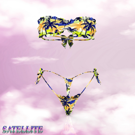 Palms Icon Bikini LaraX