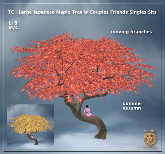 TC - Large Japanese Maple Tree w Couples Friends Singles Sits