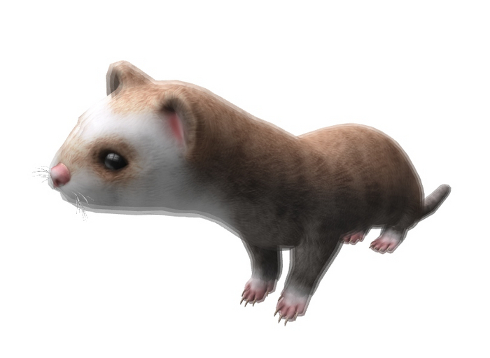 SEmotion Libellune Frendly Ferret XS Companion COMMON 05