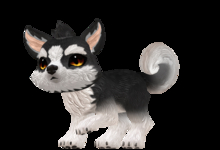 Quenteri %d34a256cc035