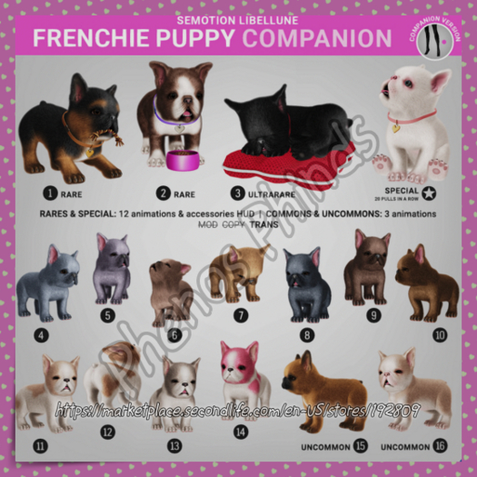 SEmotion Libellune Frenchie Puppy Companion COMMON 10