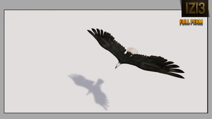 Mesh Eagle 9 impact Full perm