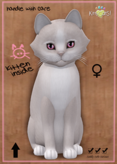 KittyCatS Box - Genesis - Pearl II - Toy - Female