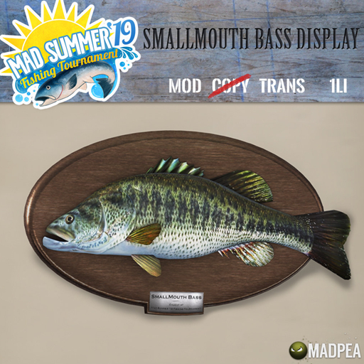 MadPea Smallmouth Bass Display