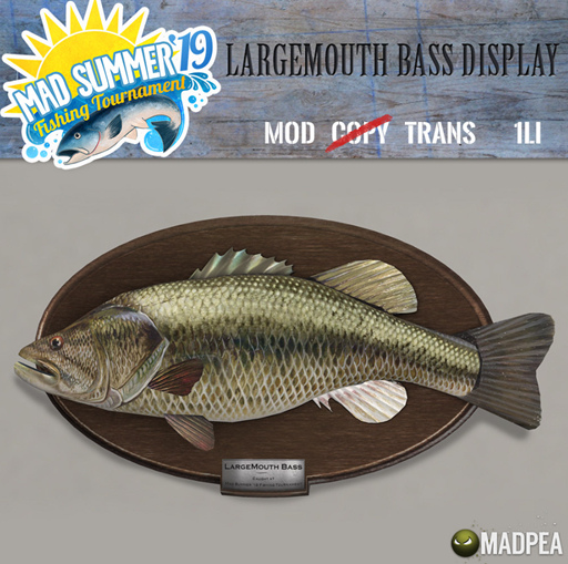MadPea Largemouth Bass Display