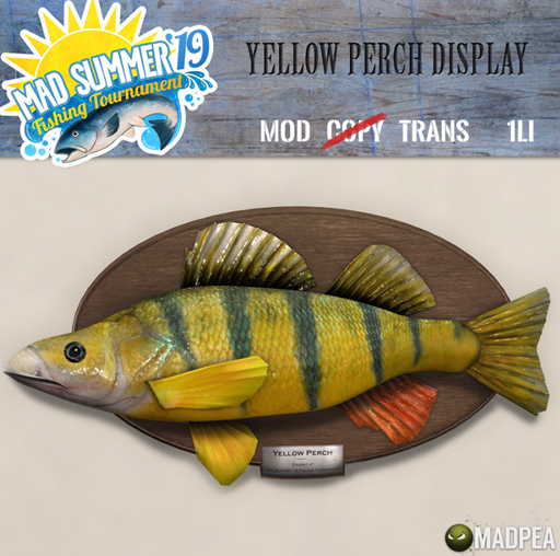 MadPea Yellow Perch Display
