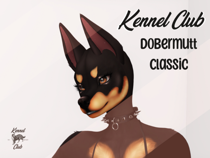 TKC - Dobermutt Classic