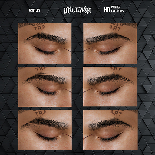 UNLEASH - Carter HD Brows HUD // Evo Evox