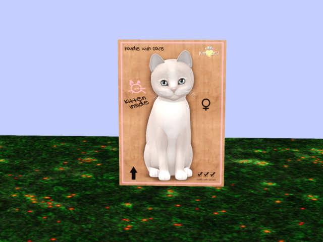 KITTYCATS BOX MEGAPUSS Pearl II Serenity EYES F