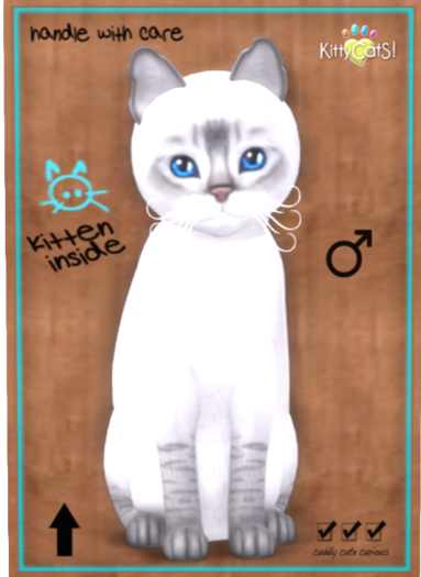 KittyCatS Box - Balinese - Lilac Lynx