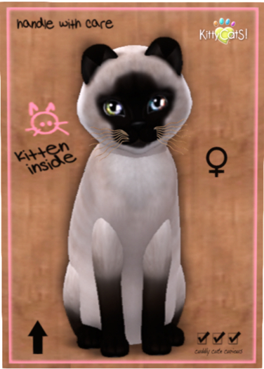 KittyCatS Box - Siamese - Seal