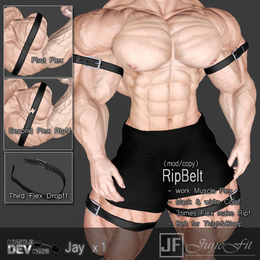 [JuneFit] Jay_RipBelt_x1