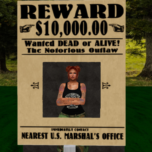 Ravenwood Emporium - Reward Poster Static Pose
