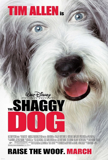 Tim Allen Poster-Shaggy Dog