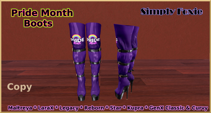 Pride Month Boots (Boxed) ADD